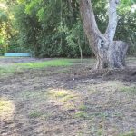 Land Clearing