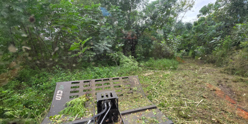 Land Clearing & Debris Cleanup in Ocoee, Florida