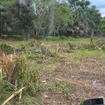 Forestry Mulching