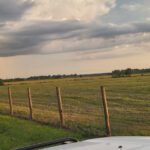 Erosion Control