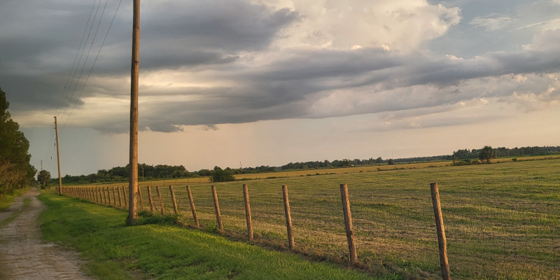 Erosion Control in Ocoee, Florida