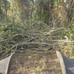 Storm Damage Cleanup