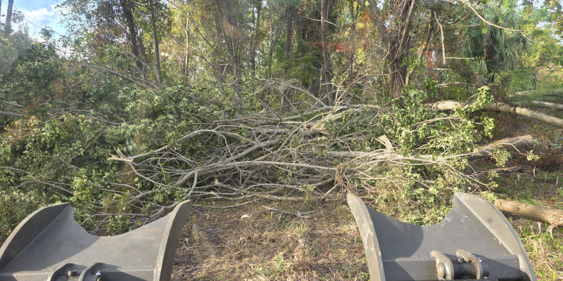 Storm Damage Cleanup in Ocoee, Florida