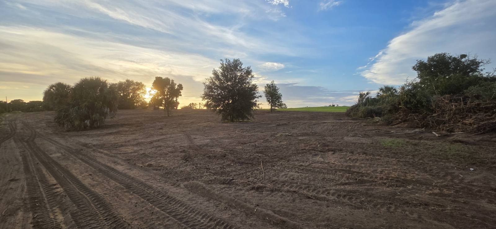 Sunset over a barren dirt field with scattered trees and tire tracks in the foreground.