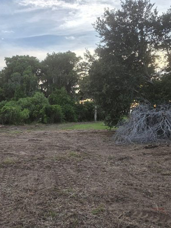 Site Prep Land Clearing